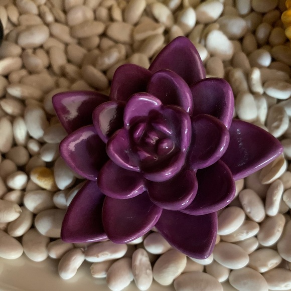 Meet your Posher, Wendy - Picture 1 of 1